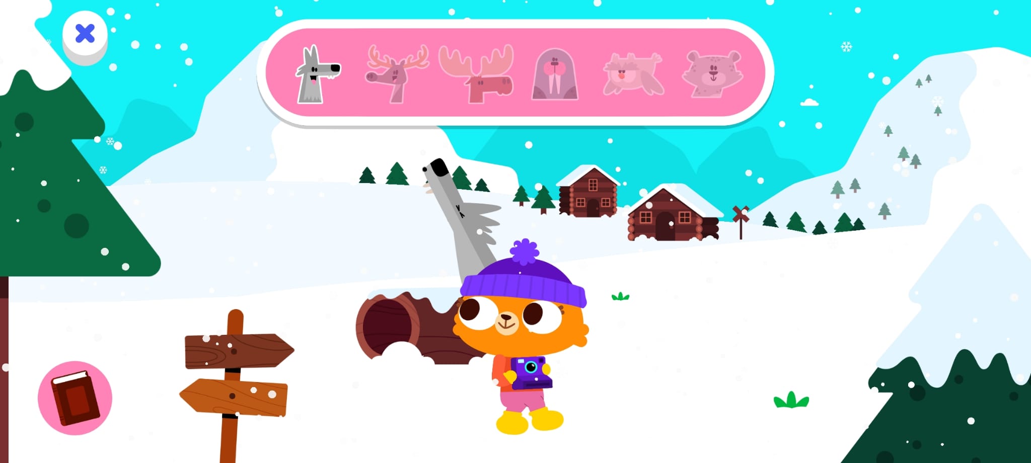 Photo Album — exploration & photos